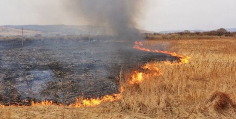 Штрафи за самовільне випалювання рослинності зростуть у десять разів!