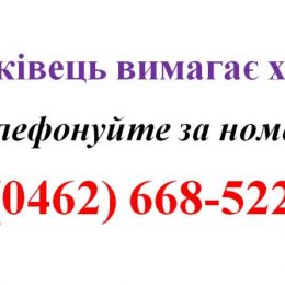 Якщо податківець вимагає хабара...