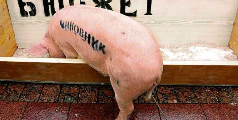 Начальник відділу райосвіти незаконно перераховувала кошти підприємцям