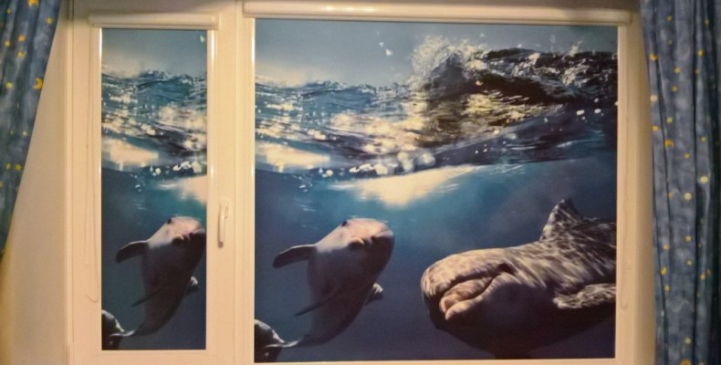 Современные шторы с оригинальной фотопечатью непременно украсят Ваш дом