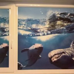 Современные шторы с оригинальной фотопечатью непременно украсят Ваш дом