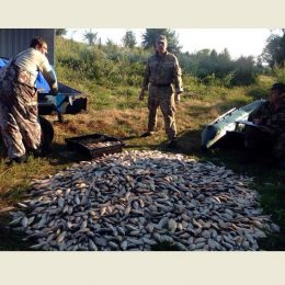 Погоня рибного патруля за браконьєрами. Що з того вийшло?