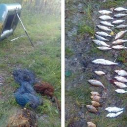 На Чернігівщині рибоохоронний патруль спіймав браконьєрів