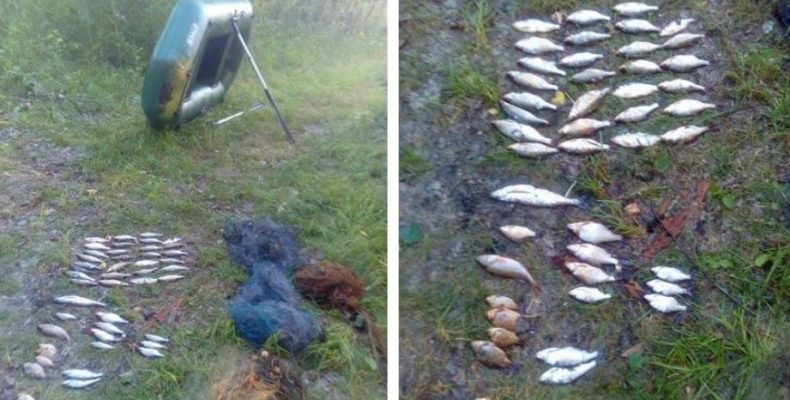 Рибоохоронний патруль полює за браконьєрами-електровудочниками