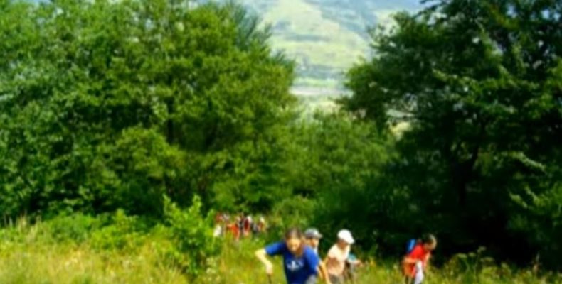 Літня біологічна практика Рішельєвського ліцею — на Чернігівщині