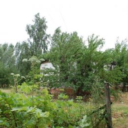 Генпрокуратура візьметься за голову Любецької ОТГ Пінчука