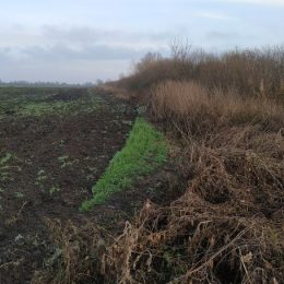 Агрофірми продовжують розорювати прибережні смуги річок