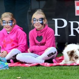 Спорт DOG PULLER, народжений в Чернігові, став світовим