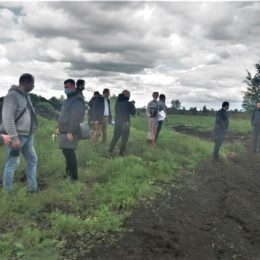 Силовики нагрянули на болота Смолинського торфобрикетного заводу