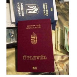 Чи буде реакція влади щодо видачі угорських паспортів громадянам України?