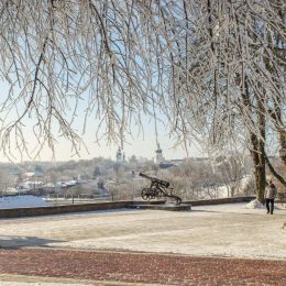 Ось як працює насправді взимку «Зеленбуд» у Чернігові