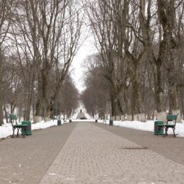 Відбулася визначна подія в історії заповідника Качанівка