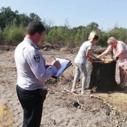 Лісові насадження постраждали від рук працівників сільгосппідприємства