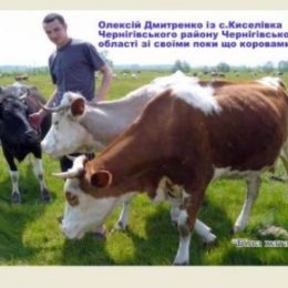 Нові можливості для фінансування та страхування молочної галузі України