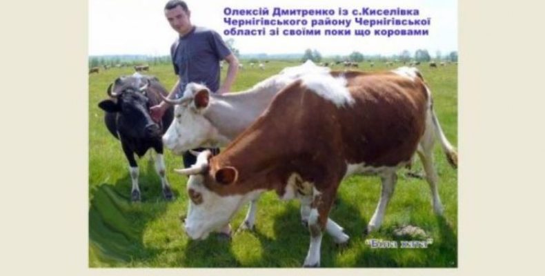Нові можливості для фінансування та страхування молочної галузі України