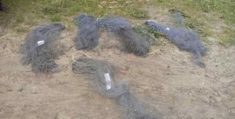 П’ять сіток розставив порушник на Десні, але спіймався сам