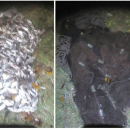 Браконьєри завдали річковому господарству збитків на 39 тис. грн