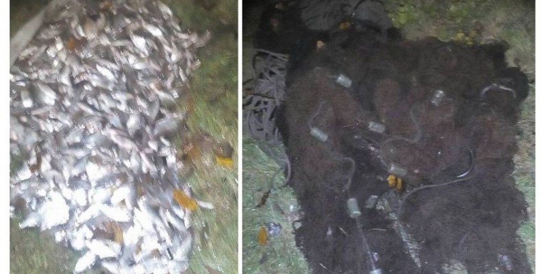 Браконьєри завдали річковому господарству збитків на 39 тис. грн