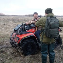 Браконьєри полюють на птахів, які щойно прилетіли з далеких країв