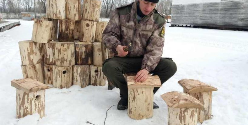 До зустрічі птахів готуються на Чернігівщині заздалегідь