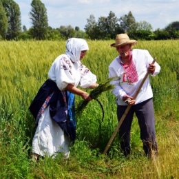 Історія об’єднаних територіальних громад Чернігівщини у фотографіях