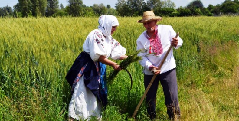 Історія об’єднаних територіальних громад Чернігівщини у фотографіях