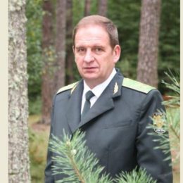 На Чернігівщині формують високопрофесійні команди лісівників