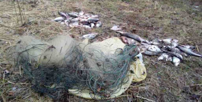 Інспектори Чернігіврибоохорони разом з поліцією полюють на браконьєрів