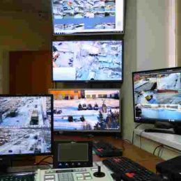 Лісівники Чернігівщини переймали досвід Тетерівського лісгоспу Київщини