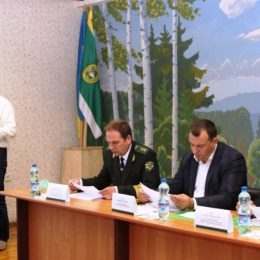 Про що говорили лісівники Чернігівщини на своїй колегії?
