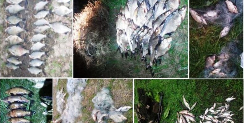 Ось як насправді працює Чернігівський рибоохоронний патруль