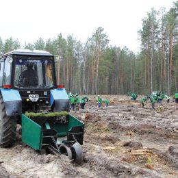 Якщо працювати сумлінно і творчо, то й здобутки будуть вагомі