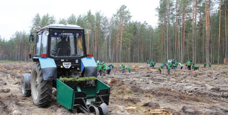 Якщо працювати сумлінно і творчо, то й здобутки будуть вагомі