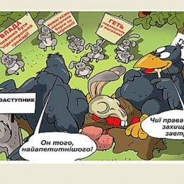 Місцеві депутати полюбляють розкішні авто: БМВ, Мазду та Тойоту