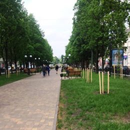Про креативні ідеї в озелененні Чернігова розповіли у КП «Зеленбуд»