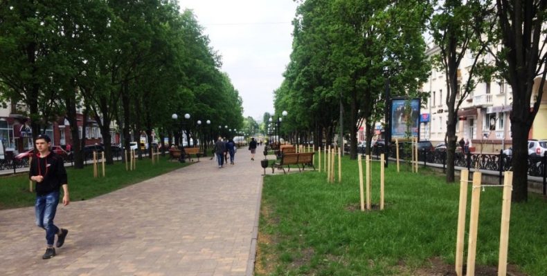 Про креативні ідеї в озелененні Чернігова розповіли у КП «Зеленбуд»