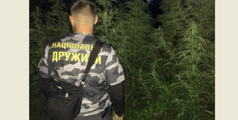 Несподівану знахідку знайшли в лісі представники Національних дружин