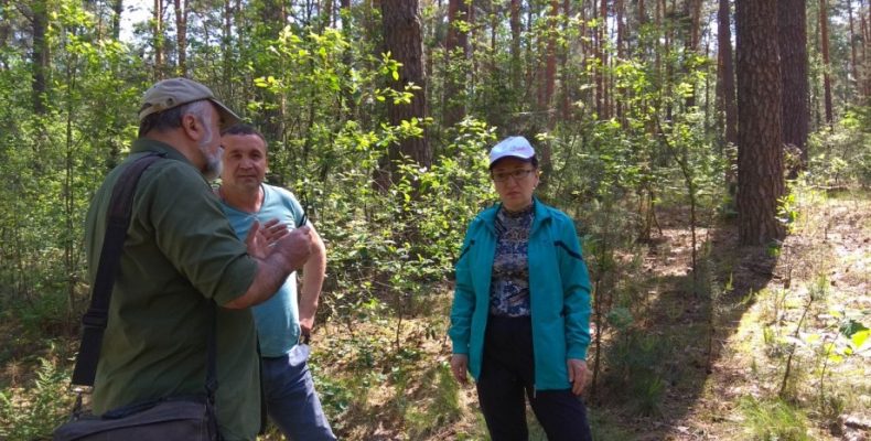 У ботанічному заказнику «Заячі сосни» полюватимуть на короїдів