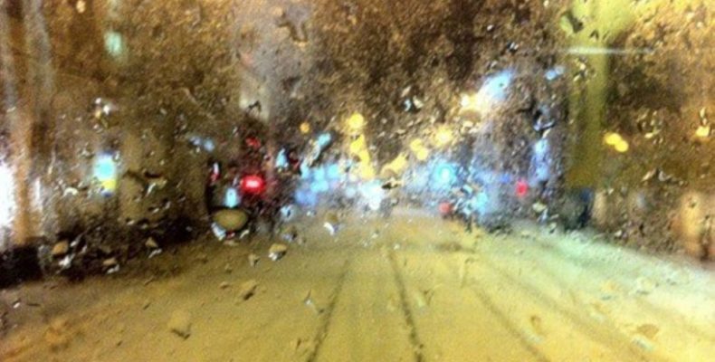 Могильні квіти щосуботи жінка везе у місто на базар