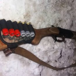 Про незаконне полювання на Чернігівщині розповів прокурор
