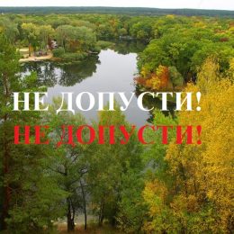 Схвалена стратегія направлена на передачу лісів у приватні руки