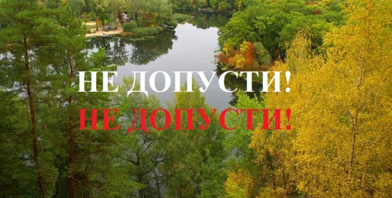 Схвалена стратегія направлена на передачу лісів у приватні руки