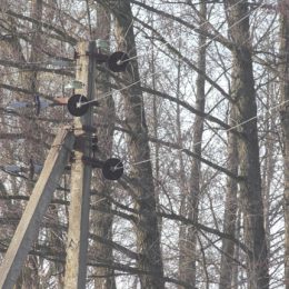 Конфлікт навколо вирубки дерев. Відео