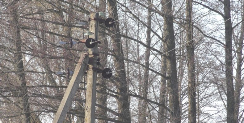 Конфлікт навколо вирубки дерев. Відео