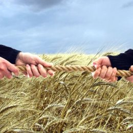 Земельні війни: власник землі у 8 га помер, а нікому її не заповів
