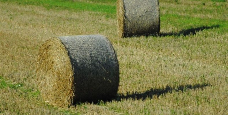 Кредитори готуються до примусового виконання аграрних розписок
