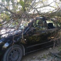 На 6 років позбавили волі водія, який скоїв смертельне ДТП