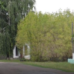 Серйозні скандали за землю вже розпочалися. Чи то ще буде?