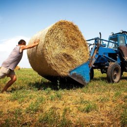 Як отримати фінансову допомогу від держави?
