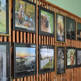 Фотовиставка «Світ очима жінок» відкрилася у Чернігові